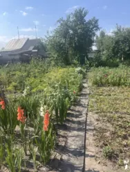 Продается дом Старое село, Сумский, Сумская фото 5 Продается дом Старое село, Сумский, Сумская фото 5