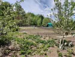 Дача на Тополі фото 6 Дача на Тополі фото 6