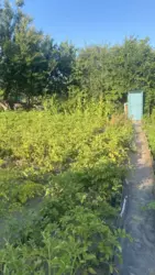 ��������� ��� �/� ճ��-3, ����������, �������, ������� ���� 2