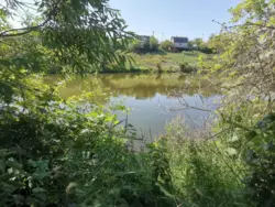 Продается дом с/т Будівельник-2, Сумы, Сумская фото 8 Продается дом с/т Будівельник-2, Сумы, Сумская фото 8