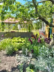 Продается дом Олдиш-86, Сумы, Сумская, Заречный фото 2 Продается дом Олдиш-86, Сумы, Сумская, Заречный фото 2