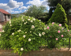 Продается дом Сумская, Сумский, Бездрык фото 4 Продается дом Сумская, Сумский, Бездрык фото 4