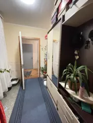 ��������� ��� ��������, ����, �������, ������������ ���� 13