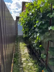 Продается дом Добровільна, Сумы, Сумская, Ковпаковский фото 12 Продается дом Добровільна, Сумы, Сумская, Ковпаковский фото 12