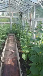 ��������� ��� ���������, ����, �������, �������� ���� 6