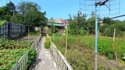 Продается дом Сумская, Сумы, Ковпаковский, Псільська пров. фото 1 Продается дом Сумская, Сумы, Ковпаковский, Псільська пров. фото 1