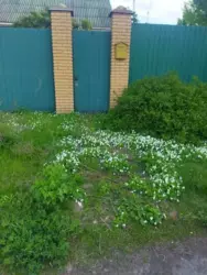 ��������� ��� �� �������� � ����������, ��������, ������������, ������� ���� 4