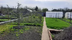 Продается дом Сумская, Сумы, Заречный, р-н Баранівського лісництва фото 7 Продается дом Сумская, Сумы, Заречный, р-н Баранівського лісництва фото 7