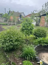 Продается дом Баранівка, Липняк, Сумский, Сумская фото 16 Продается дом Баранівка, Липняк, Сумский, Сумская фото 16