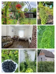 Продается дом с/т Красносільський, Сумы, Сумская, Заречный фото 10 Продается дом с/т Красносільський, Сумы, Сумская, Заречный фото 10