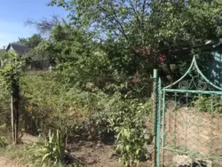 ��������� ��� �������, ����, ��������, ���� �/� ��������� ���� 1