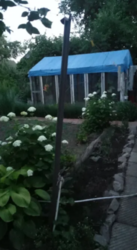 Продается дом Сумская, Сумы, Заречный, Барановке фото 14 Продается дом Сумская, Сумы, Заречный, Барановке фото 14