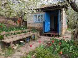 дача в р-ні Аеропорту фото 4 дача в р-ні Аеропорту фото 4