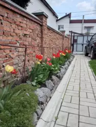 ��������� ��� �������� ���������, ����, �������, ������������ ���� 12