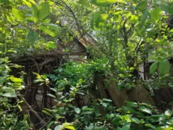 Продается дом Сумская, Сумы, Заречный, с/т Авіатор фото 1 Продается дом Сумская, Сумы, Заречный, с/т Авіатор фото 1