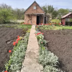 Продается дом Сумская, Сумы, Ковпаковский, Роменська траса с/т Маяк фото 1 Продается дом Сумская, Сумы, Ковпаковский, Роменська траса с/т Маяк фото 1