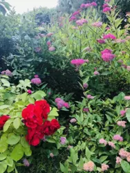 Продается дом вул. І Багряного / р-н Тимірязівка, Сумы, Сумская, Ковпаковский фото 14 Продается дом вул. І Багряного / р-н Тимірязівка, Сумы, Сумская, Ковпаковский фото 14