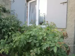 Продается дом Сумская, Сумы, Ковпаковский, Тополянська, 126/1 фото 10 Продается дом Сумская, Сумы, Ковпаковский, Тополянська, 126/1 фото 10