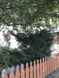 Продается дом Сумская, Сумы, Басы-Химик фото 7 Продается дом Сумская, Сумы, Басы-Химик фото 7