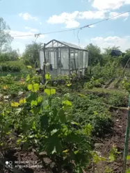 ��������� ��� �����, ����, �������, �������� ���� 5