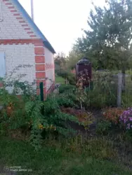 Продается дом Олдиш-86, Сумы, Сумская, Заречный фото 6 Продается дом Олдиш-86, Сумы, Сумская, Заречный фото 6