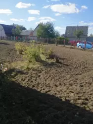 Продается дом Сумская, Сумы, Заречный, Баранівка фото 4 Продается дом Сумская, Сумы, Заречный, Баранівка фото 4