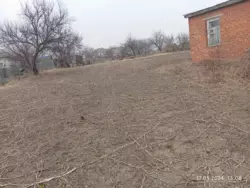 ��������� ��� ������, �������, ������� ���� 4