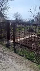 Продается дом Сумская, Сумы, Заречный, Баранівка фото 2 Продается дом Сумская, Сумы, Заречный, Баранівка фото 2