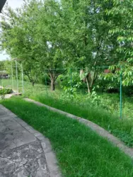 Продается дом Чисті пруди, Сумы, Сумская, Заречный фото 3 Продается дом Чисті пруди, Сумы, Сумская, Заречный фото 3