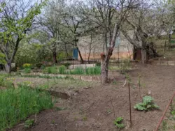 дача в р-ні Аеропорту фото 1 дача в р-ні Аеропорту фото 1