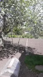 ��������� ��� ����������� �-� �����������, ����, �������, ������������ ���� 3