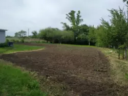 Продается дом Сумская, Сумский, Севериновка, с.Перехрестівка 7 км фото 11 Продается дом Сумская, Сумский, Севериновка, с.Перехрестівка 7 км фото 11