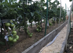 Продается дом Сумская, Сумы фото 4 Продается дом Сумская, Сумы фото 4