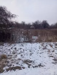 ��������� ��� ������������ ����, ����, �������, ������������ ���� 1