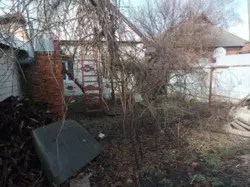 Продается дом / Старе село, Красное, Сумский, Сумская фото 15 Продается дом / Старе село, Красное, Сумский, Сумская фото 15