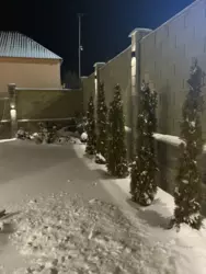 ��������� ��� ����, ������� ���� 8