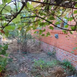 ��������� ��� (����� ���� ����������), ��� ���������, �������, ���������, ������� ���� 8