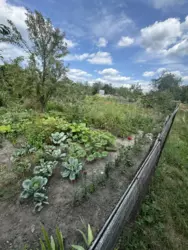 Продается дом Сумская, Сумы, Заречный, Баранівка фото 2 Продается дом Сумская, Сумы, Заречный, Баранівка фото 2