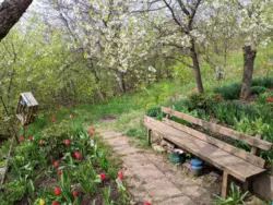 дача в р-ні Аеропорту фото 6 дача в р-ні Аеропорту фото 6