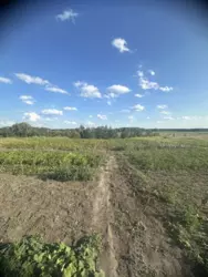 Продается дом / Старе село, Красное, Сумский, Сумская фото 12 Продается дом / Старе село, Красное, Сумский, Сумская фото 12