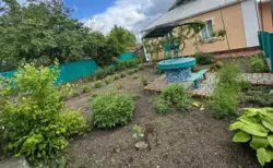 ��������� ��� ���, �������, ������� ���� 7