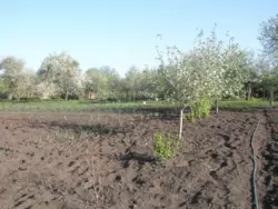 ��������� ��� ������, �������, ������� ���� 5