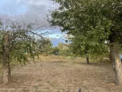 ��������� ��� �/� ճ��, ����, �������, �������� ���� 4