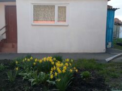 Продается дом Сумская, Сумы фото 7 Продается дом Сумская, Сумы фото 7