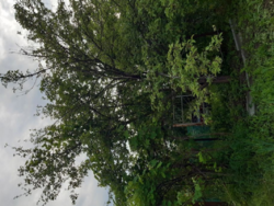 Продается дом Сумская, Сумский фото 3 Продается дом Сумская, Сумский фото 3