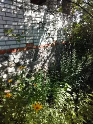 Продается дом Никонци, Сумский, Сумская фото 18 Продается дом Никонци, Сумский, Сумская фото 18