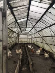 Продается дом Сумская, Сумский фото 6 Продается дом Сумская, Сумский фото 6