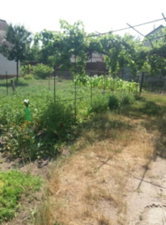 Продается дом Сумская, Сумы фото 4 Продается дом Сумская, Сумы фото 4