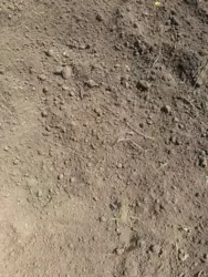 Продается дом Сумская, Сумы, Ковпаковский, Білопільський шлях с/т Фрунзенець фото 11 Продается дом Сумская, Сумы, Ковпаковский, Білопільський шлях с/т Фрунзенець фото 11