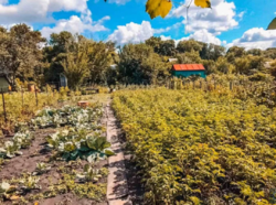 Продается дом Сумская, Сумы фото 1 Продается дом Сумская, Сумы фото 1